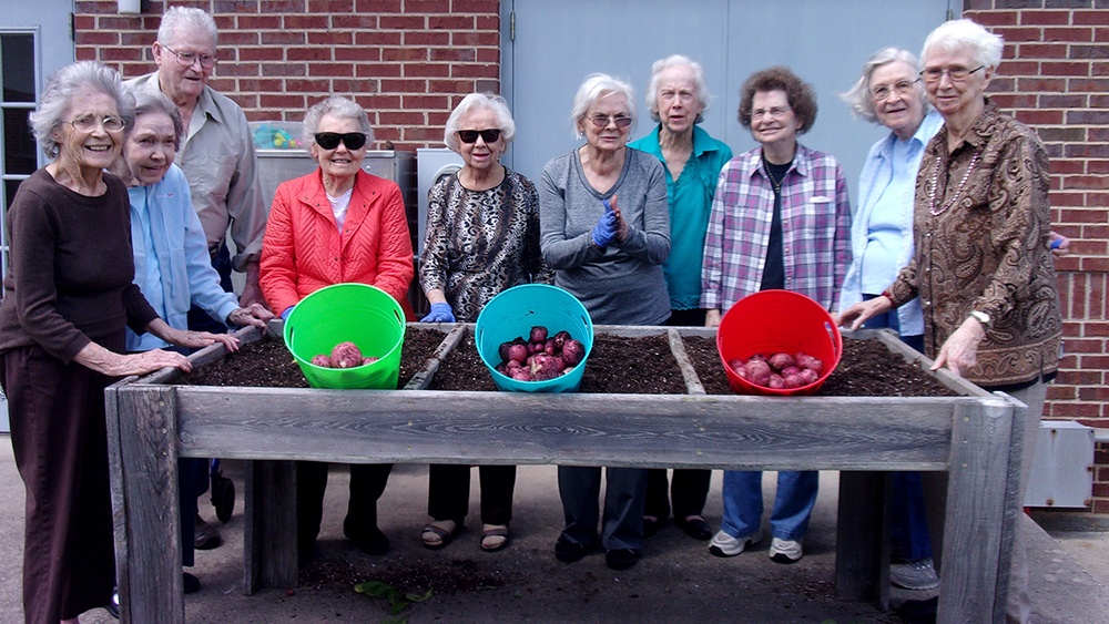 People stand behind and to the side of a waist-high, elevated gardening bed with three buckets of potatoes sitting on their sides to show the harvest.