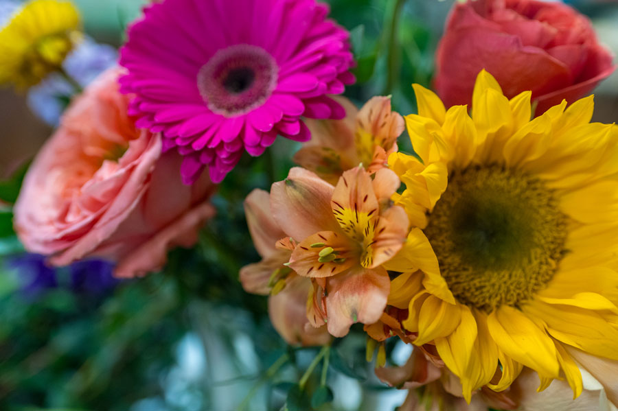 Close up of orange, pink, and yellow flowers.