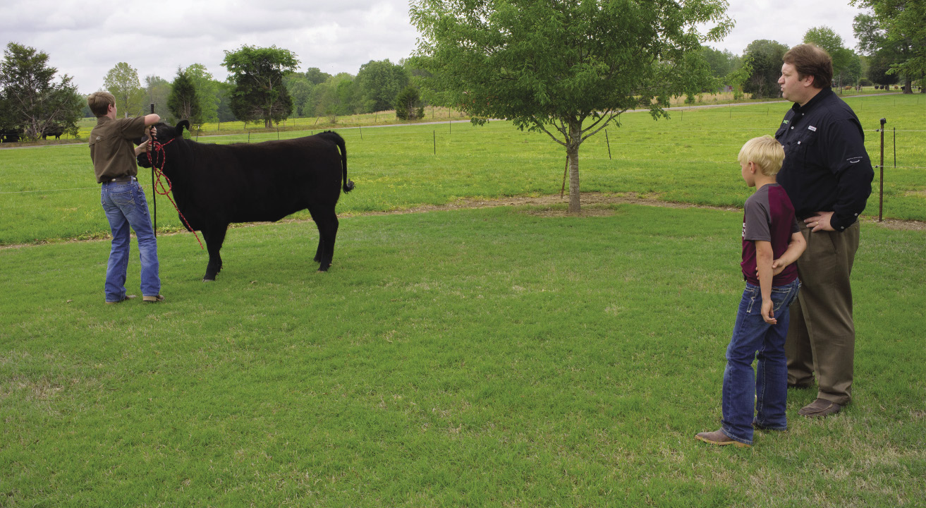 Joe Davis and his children working with a show heifer in a green pasture.