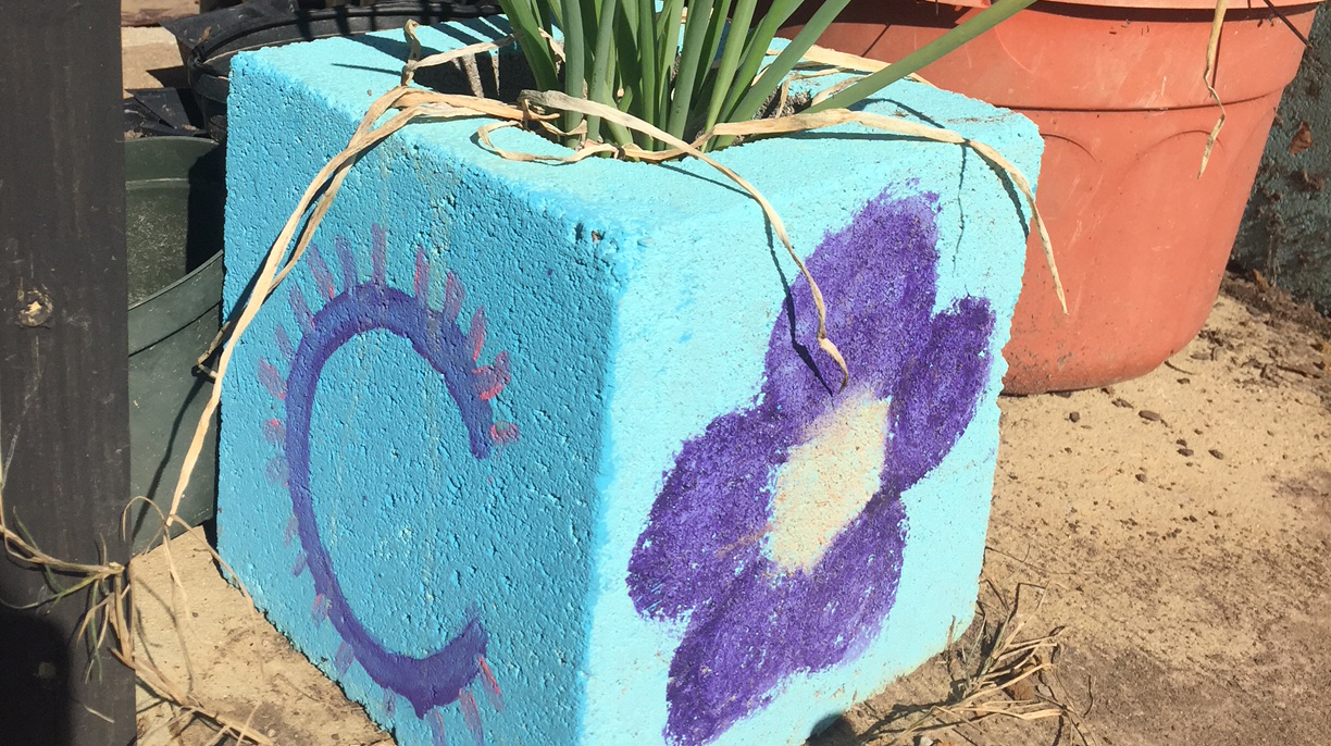 : A concrete block painted turquoise and purple serves as a planter for onions. 
