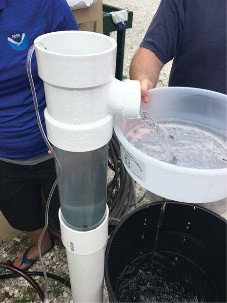 A person holds a fine sieve over a garbage can as the water passes through the sieve and into the garbage can.