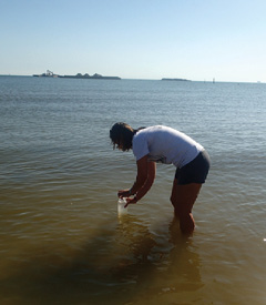 The researcher seals the jar with a lid.