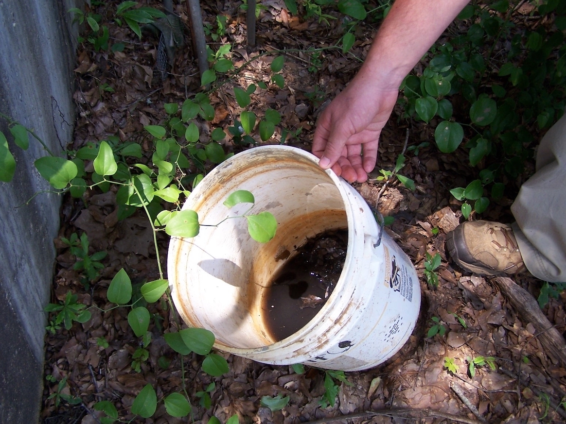 Old bucket filled with dirty water.