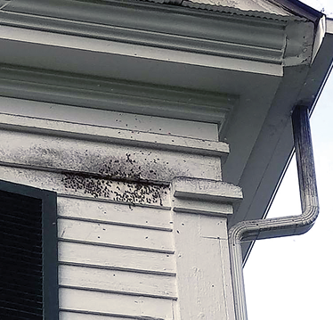 Black discoloration on the side of a house.