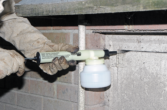 A man uses a garden duster to spray insecticide into a crack.