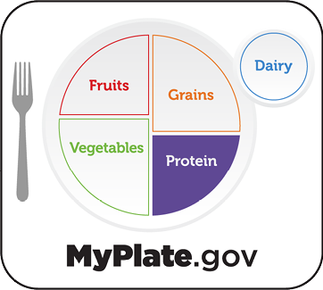 MyPlate.gov graphic highlighting protien.