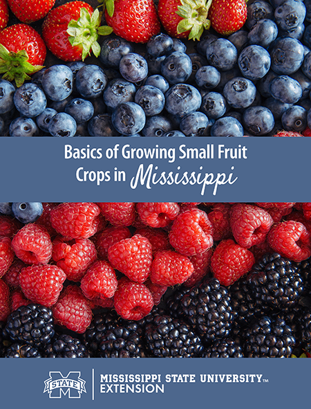 Cover of MSU Extension Publication 4059, Basics of Growing Small Fruit Crops in Mississippi.