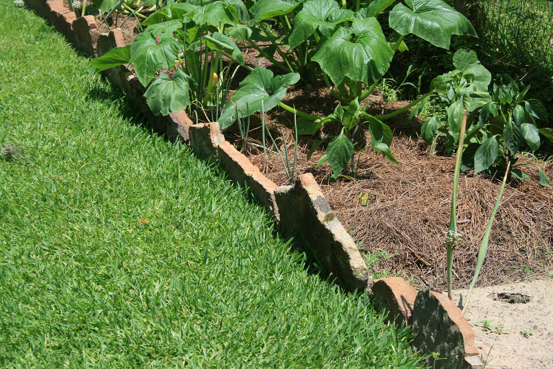 A raised bed with irregular flagstone as the sides.