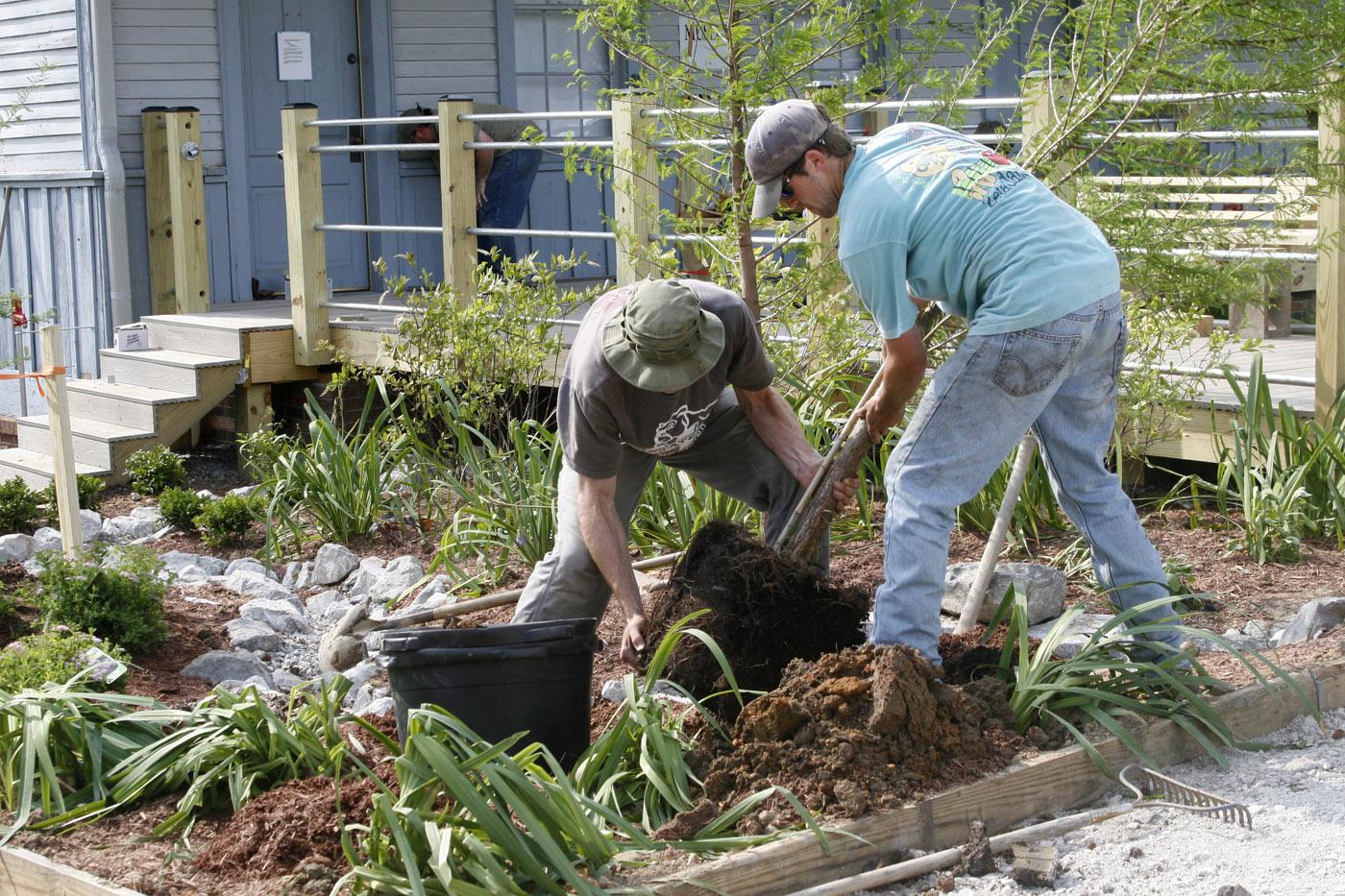 Brian Templeton, Extension associate with MSU's Department of Landscape Architecture (left), and landscape architecture student Taylor Pounds plant a tree in front of the Oktibbeha County Heritage Museum. They are part of a team that is providing a new landscape design to manage storm water and also demonstrate to the community the importance of sustainable landscapes.