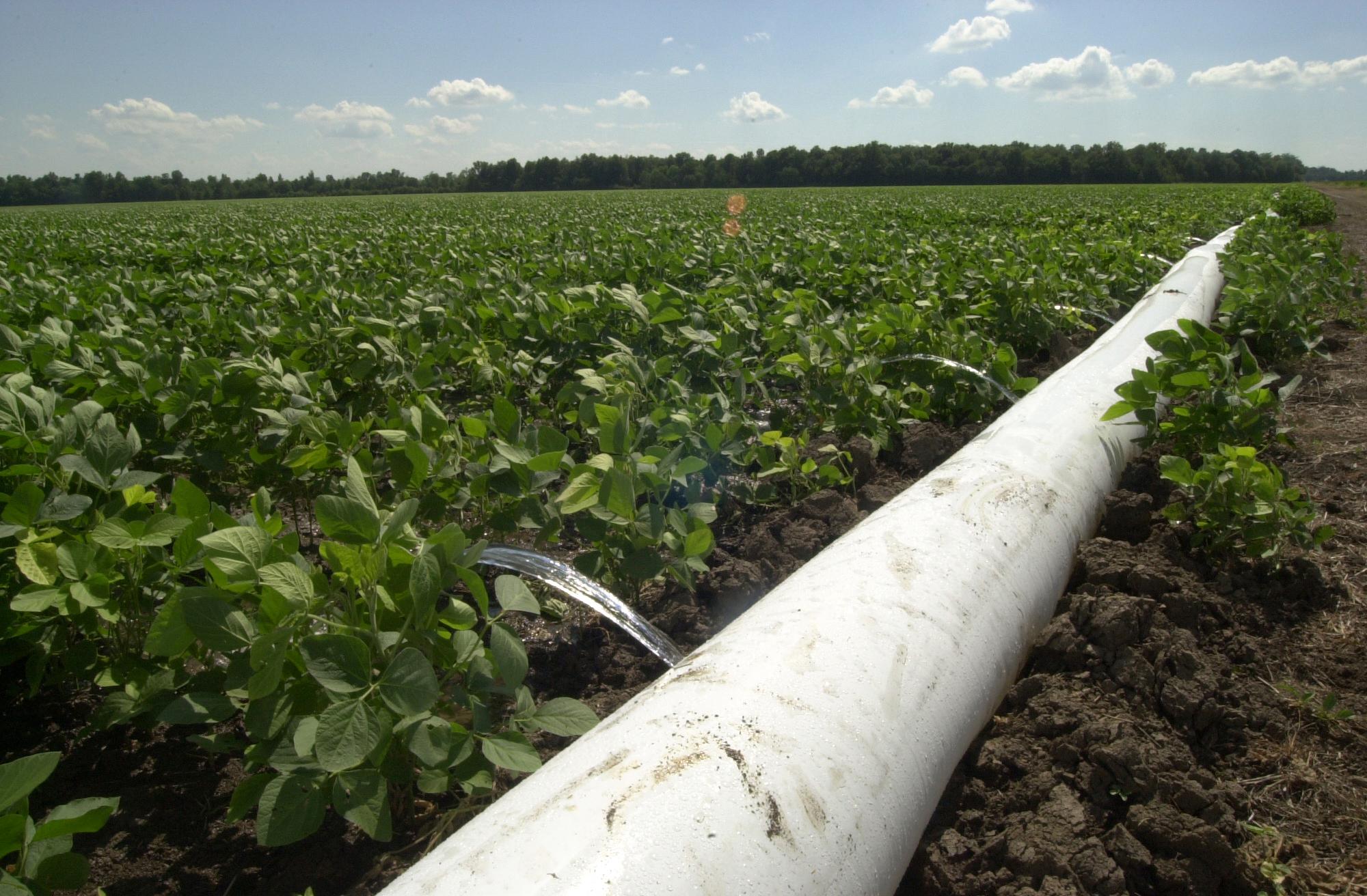 Winter is the perfect time to implement changes to make furrow irrigation more efficient. Mississippi State University researchers are encouraging the use of computerized hole selection tools to specify the size of hole that should be punched in polypipe to allow the correct amount of water to flow down each furrow (Photo by MSU Ag Communications/File Photo)