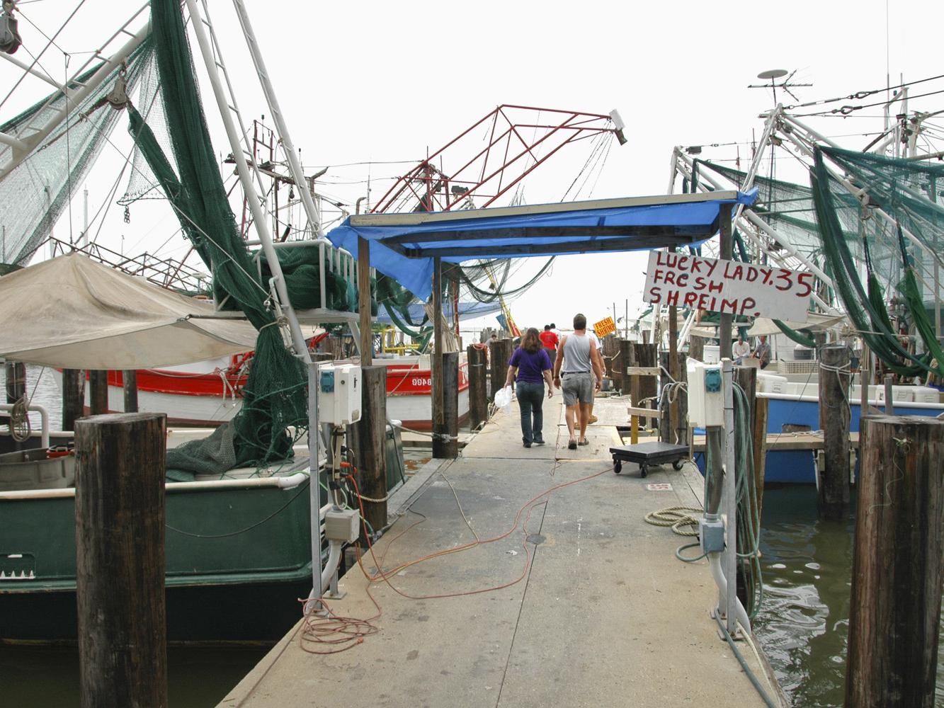 Shrimp boats line the public docks in Biloxi after spending the night harvesting in the Gulf. Shrimp lovers are finding good supplies, but prices are up this season. (Photo by Bob Ratliff)