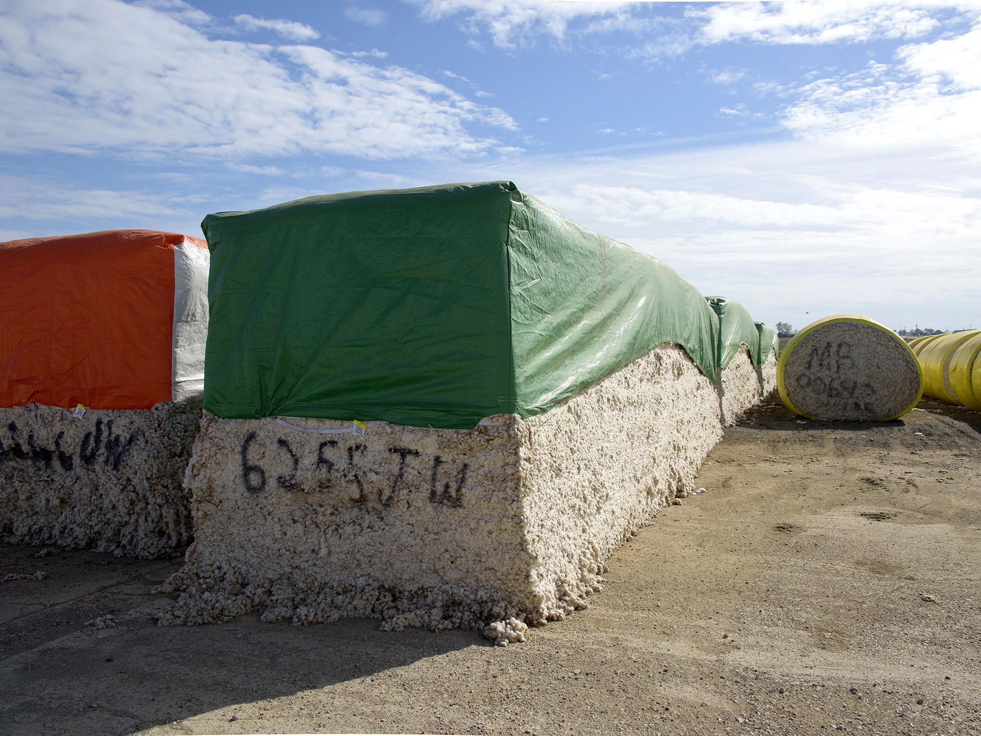 Picked cotton sits in large green and red bales.