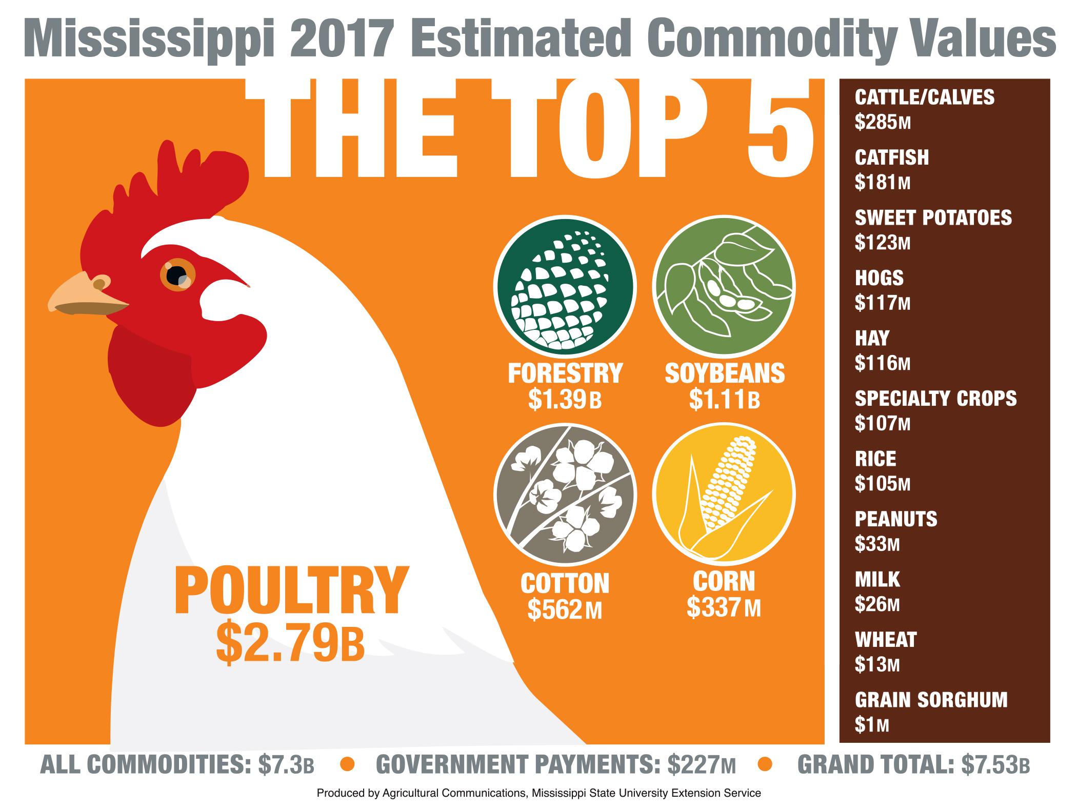 An artist representation of the top 5 agricultural commodities in Mississippi with a drawing of a large white chicken dominating the image.