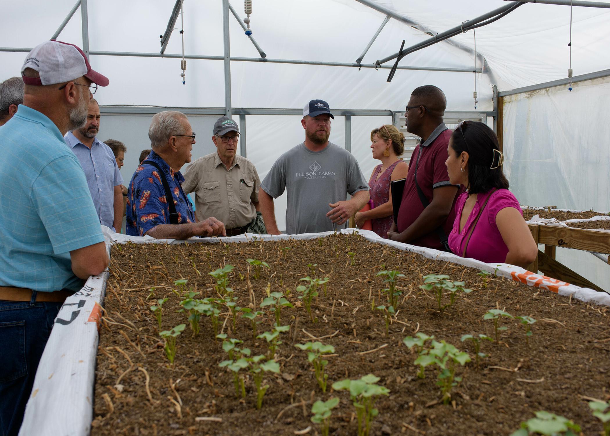 A group gathers around a table-top planter growing small plants.