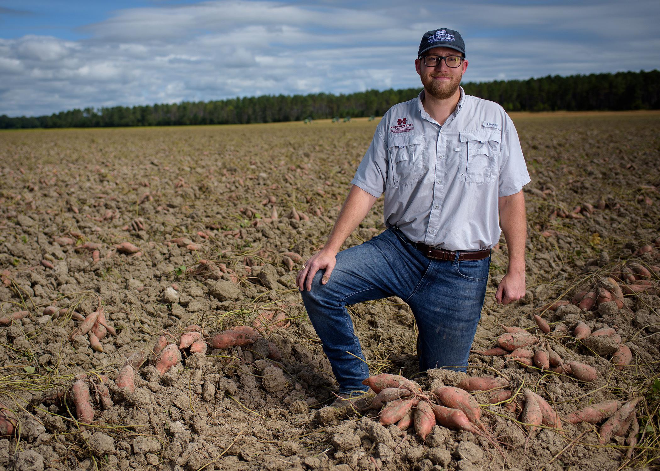 A man kneels in a sweet potato field.