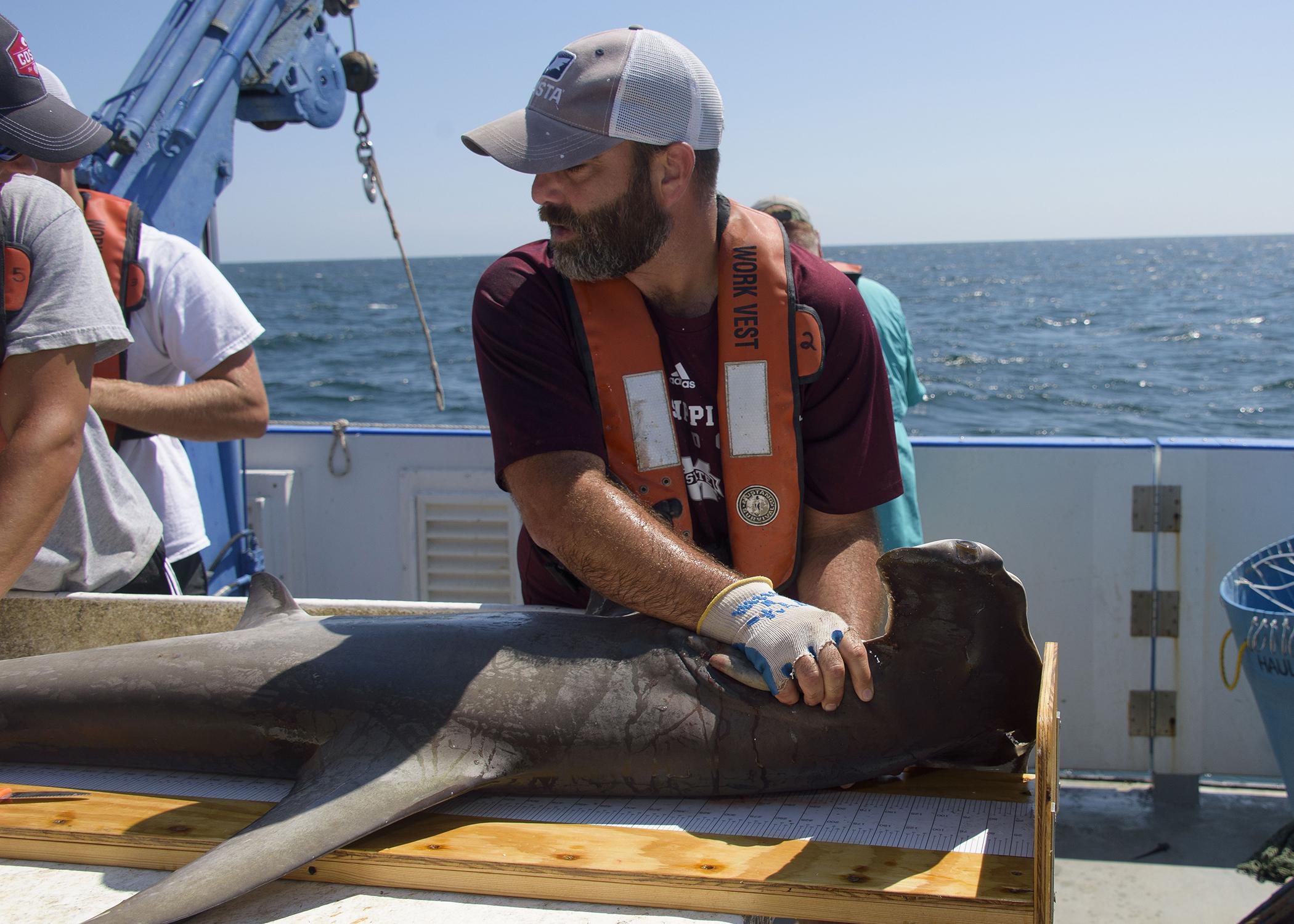 Marcus Drymon with a shark