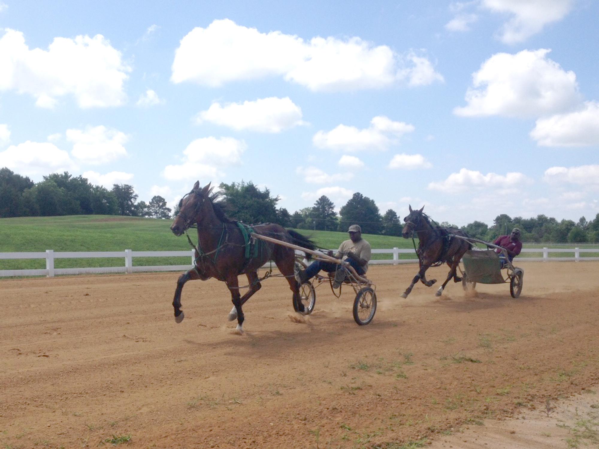 Harness racers take a practice run around the newly renovated track at the Mississippi Horse Park near Starkville. On May 22, sanctioned races will return to the complex, which is a division of the Mississippi State University Extension Service. (Submitted photo)