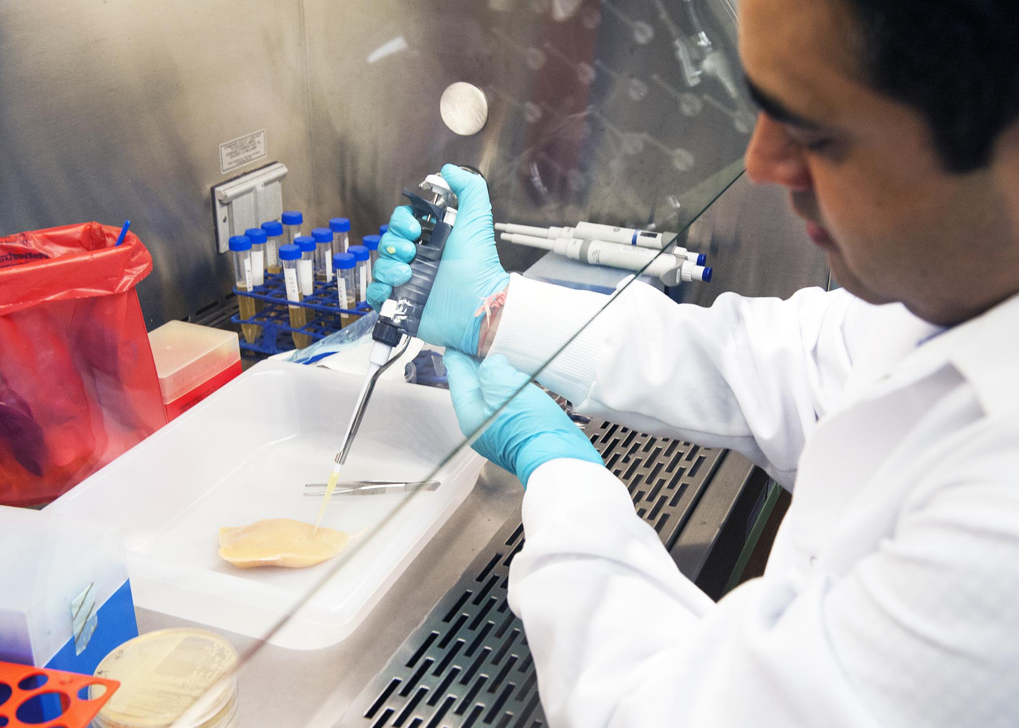 Chander Sharma, a researcher in the Mississippi Agricultural and Forestry Experiment Station, injects a chicken breast with foodborne bacteria. Mississippi State University scientists are testing different compounds to combat bacteria and increase the shelf life of poultry products. (Photo by MSU/Beth Wynn)