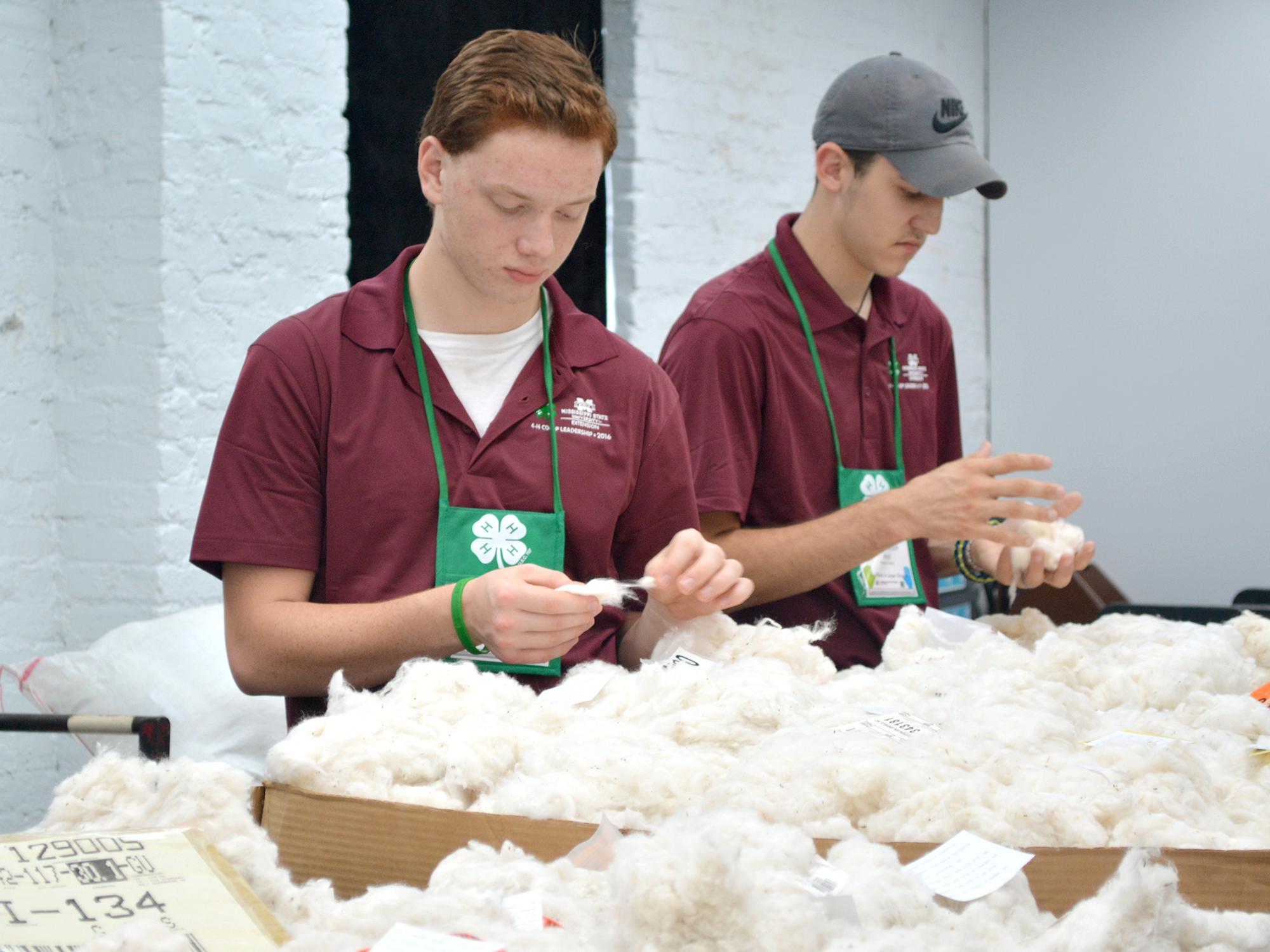 Thirty-four 4-H’ers learned leadership skills when they toured four co-ops as part of the 2016 Cooperative Business Leadership Conference. Here, Jonathan Pannell, left, of Alcorn County, and Thomas Heck of Hancock County examine cotton samples at Staplcotn in Greenwood. (Submitted Photo/Lauren Revel)