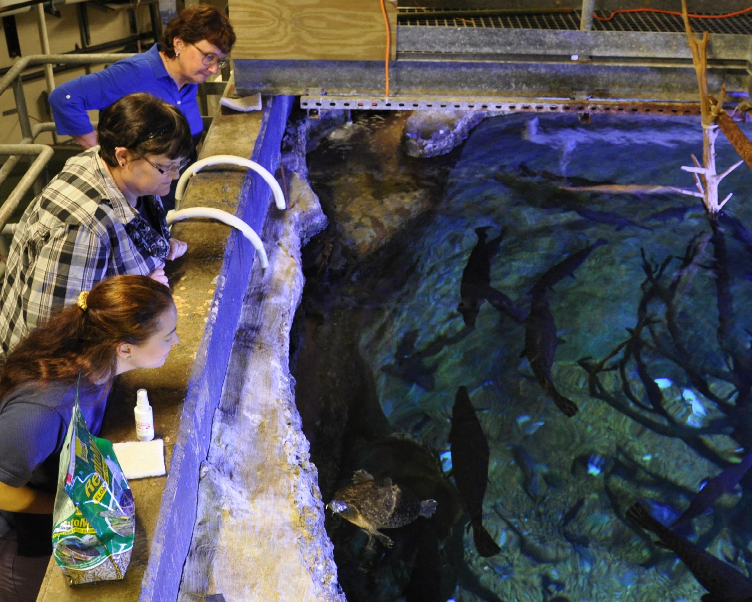 Master Naturalist class members get a behind the scenes tour of the aquariums at the Mississippi Museum of Natural Science during the 2014 training session last spring. The museum and the Mississippi State University Extension Service will offer the 2015 classes from April 21 through June 16. (File photo by MSU Extension Service/Adam Rohnke)