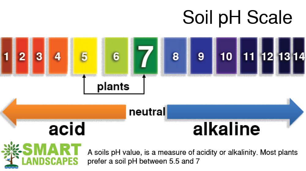 Chart showing soil pH scale