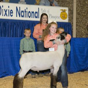 A young girl wearing a white bow hugs the head of a tall white goat with brown furry legs.