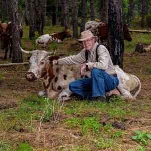 An older man squats next to a brown and white cow lying on the ground. 