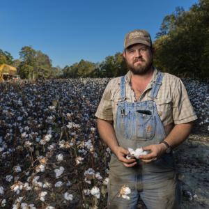 A man wearing overalls and standing in a blooming cotton field.