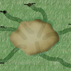 This drawing shows how underground forage tunnels radiate away from the mound and surface five to 25 feet away..