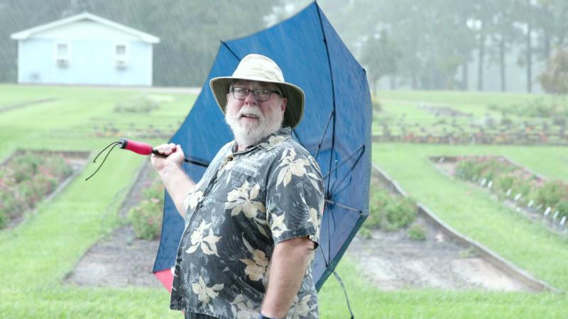 Gardening Rain Delay