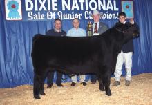 Bryan Williams holds his reserve champion steer in 2001. He is joined by buyers Nicky Alexander and Bruce Deakin, representing Jackson Coca-Cola, and Dr. Lester Spell, commissioner of the Mississippi Department of Agriculture and Commerce. (Photo by Jim Lytle)