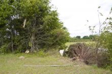 Several tornadoes that ravaged the region on April 26 and April 27 knocked down trees in affected areas. Horticulturists with the Mississippi State University Extension Service advise people to use caution in removing trees and debris. (Photo by Scott Corey)