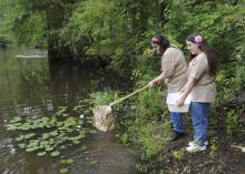 Breanna Lyle of Aberdeen uses a net to collect water insects during an insect and plant camp at Mississippi State University, while her twin sister, Deanna Lyle, waits with a bucket to take them back to campus for identification. Insect collecting is a favorite activity at the annual summer camp. (Photo by Scott Corey)