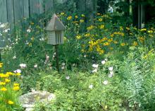 The butterfly garden at the Mississippi Museum of Natural Science in Jackson includes bee blossom, coreopsis, black-eyed Susan and purple coneflower. (Photo by MSU Ag Communications/Susan Collins-Smith)