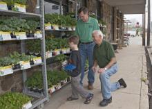 Jerry Don Keith, Tishomingo County Master Gardener, right, helps his grandson Brooks Keith select tomato plants from James Tennyson's inventory at Fairless Hardware Co. in Tishomingo on April 3, 2014. (Photo by MSU Ag Communications/Kat Lawrence)