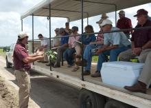 Trent Irby, Mississippi State University Extension Service soybean specialist, updated ag industry personnel on the issues facing the state's soybean crop. MSU gathered specialists June 17, 2014 at the Delta Research and Extension Center in Stoneville, Mississippi to address weed, insect, disease and plant development concerns related to the challenge of another growing season pushed off schedule by a late, wet spring. (Photo by MSU MAFES/David Ammon)