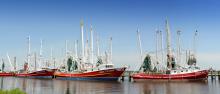 High winds prompted small craft advisories that kept some shrimp boats at the dock during the first few weeks of the 2012 shrimp season. (Photo by MSU Ag Communications/Scott Corey)