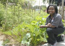 Natasha Haynes, Mississippi State University Extension agent in Rankin County, advocates choosing one local ingredient to spotlight in a menu, such as this squash growing at the Southern Heritage Garden at the Vicksburg National Military Park on June 13, 2017. (Photo by MSU Extension Service/Bonnie Coblentz)