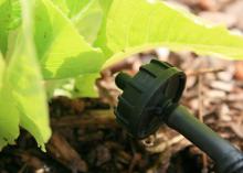 A round, black plastic head faces a plant.