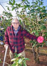 A man stands beside a plant with a large pink bloom.