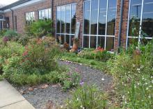 A gravel trail cuts through a garden in front of a building.