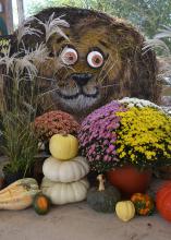 A fall display includes a decorated hay bale, gourds, and mums.