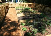 Adding hardscape materials such as treated lumber to build sides keeps raised-bed gardens looking tidy. (Photo by MSU Extension/Gary Bachman)