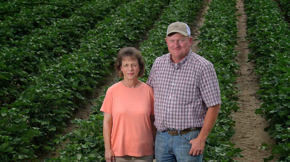 A couple stands among crop rows. The woman, left, has short brown hair, a pink shirt, and khaki pants, and  a taller man wears a white and tan baseball cap, a checkerboard-striped shirt, and blue jeans.