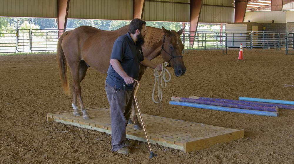 Lance McElhenney working with his horse in an arena.