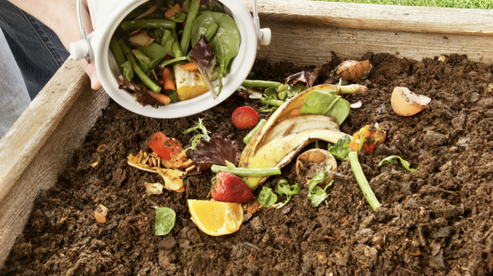 fruit and vegetable waste is added to a compost pile