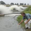 Charlie Hogue, catfish production specialist with the Mississippi State University Extension Service, tests water from a catfish pond at Shirck Fish Farm in Noxubee County. (Photo by Tom Thompson)