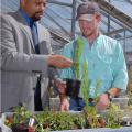 Mississippi State University weed science associate professor Alfred Rankins, left, and his student, Wes McPherson of Inverness, go outside the classroom to look for pest problems in greenhouse plants. (Photo by Jim Lytle)