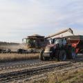 State soybean producers harvested a new record average of 42 bushels per acre. The crop's estimated value of $1.2 billion in 2012 moved soybeans to a No. 2 ranking among Mississippi's agricultural commodities. (Photo by MSU Ag Communications/Scott Corey)