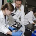 Jennifer Cain, a class of 2016 summer research student at Mississippi State University's College of Veterinary Medicine, and Dr. David Smith, her mentor, examine a test sample for a reproductive disease of cattle. (Photo by MSU College of Veterinary Medicine/Tom Thompson)